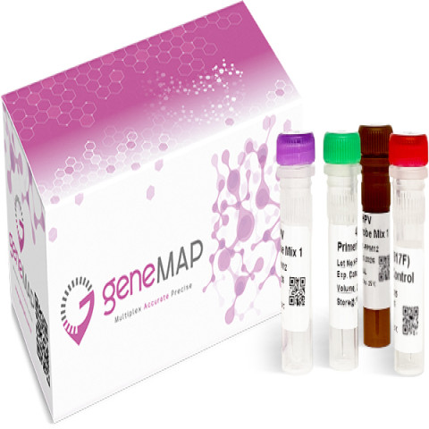 geneMAP™ IDH1/2 Mutations Detection Kit