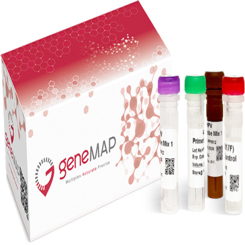 geneMAP™ Equine Babesia caballi Real-Time PCR