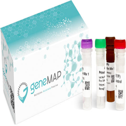 geneMAP™ DPYD Mutations Detection Kit